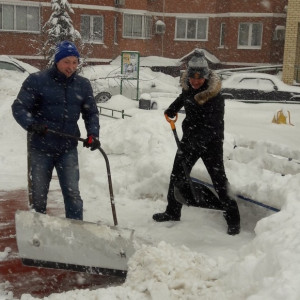 5a7761fc2c06f008560769