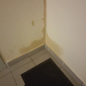 5a01969471ec1550190601