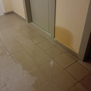 5a019697a1174486531922