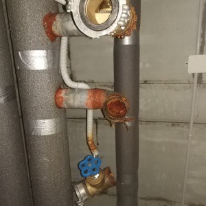 5a57e6f1a6a4a914332196