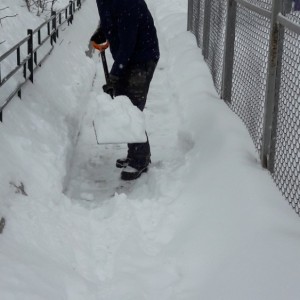 5c8a510438092103544231